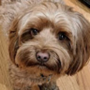 Meet your Posher, Jill a